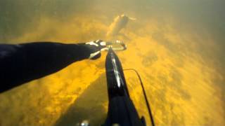 Подводная охота (рыбалка) Астрахань GoPro