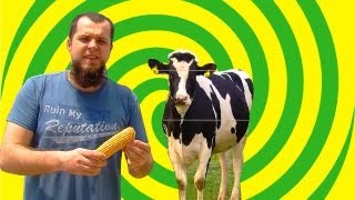 АМЕРИКАНСКОЕ СЕЛО. Amish