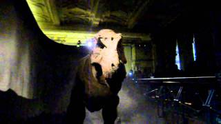 T-Rex @ British Natural History Museum