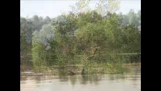 Рыбалка на Десне 1-2.06.2013