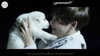 [FMV][VIETSUB+KARA] STIGMA - V (BTS)