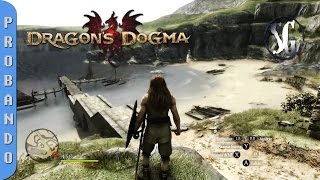 Probando: Dragon's Dogma: Dark Arisen | Ultra Settings | GTX 770 4gb / FX 8350