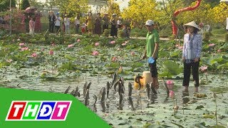 Diễn viên "kiều nữ" Ngọc Lan ngỡ ngàng trước màn trình diễn cá lóc bay ở Sa Đéc | THDT
