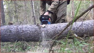Рыбалка Как пилить чтоб не зажимало бензопилу охота тайга сибирь лес природа туризм выживание