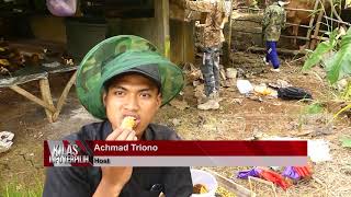 MELIHAT DARI DEKAT BUDIDAYA LEBAH MADU