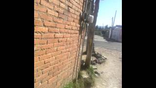 Chika la sedusen y le asen el amor en su cuarto