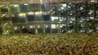 Imakatsu JavaStick 4" in action