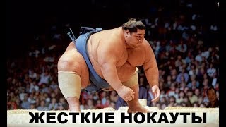 НОКАУТЫ, От Которых Содрогается Земля