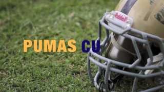 PUMAS CU training session