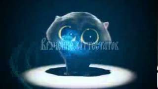 Скачать бесплатно футажи титры wmv 2
