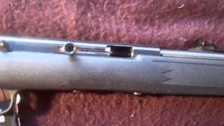 Savage model 64 .22 LR - Survival Rifle?