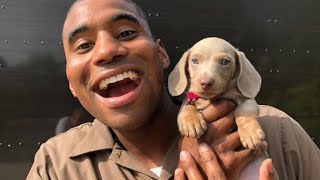 World's friendliest UPS driver takes photos with dogs he meets on his route