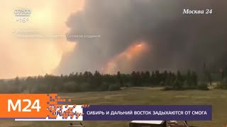 Актуальные новости России и мира за 25 июля - Москва 24