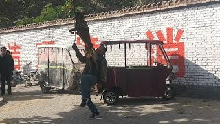 大街上看到有人训马犬，不愧是警犬中的佼佼者，咬合力、弹跳力、专注力都是强