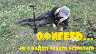 ОФИГЕТЬ ТАКОГО ТОЧНО В ЭТОМ ЛЕСУ НЕ ОЖИДАЛ ВСТРЕТИТЬ