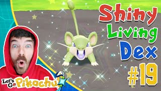 RANDOM SHINY RATTATA CATCH REACTION! Pokemon Let's GO Pikachu Extreme Shiny Living Dex #19