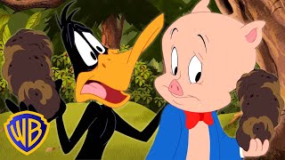 Looney Tunes en Français ???????? | Daffy ADORE la truffe