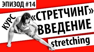 Курс "Стретчинг". Введение для начинающих.