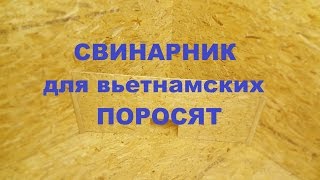 Свинарник для вьетнамских поросят
