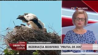 Emisiunea „Obiectiv Comun” - Rezervația biosferei „Prutul de Jos”