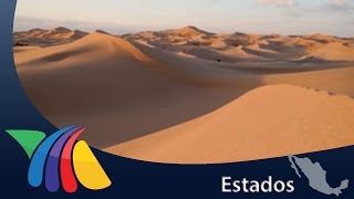 Conoce los médanos de Samalayuca | Noticias de Chihuahua