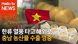 충남 농산물 해외로...동남아 수출 껑충