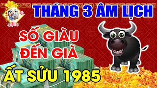 THÁNG 3 ÂL TUỔI ẤT SỬU 1985, TRÚNG SỐ LIÊN TỤC, TIỀN VỀ XOÁ SẠCH NỢ, TỪ NAY VỀ SAU GIÀU ĐẾN GIÀ|TVTL