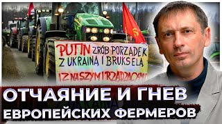 Заказ на притеснение европейских фермеров пришел не сверху: План вынашивался десятки лет