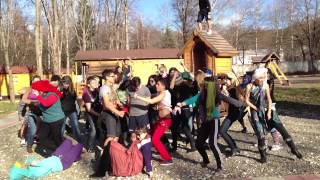 Harlem Shake - AFS Russia