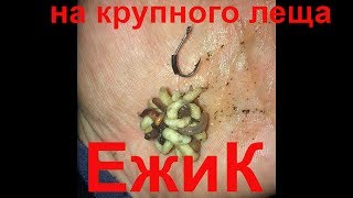 Уловистый монтаж на крупного леща в ночное время.Ежик) ReLoad