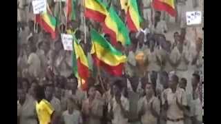 MUST WATCH TPDM GRADUATED ITS FIGHTERS BY MILITARY AND POLITICAL COURSE