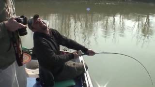 Ловля гигантского сома на удочку