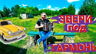 ХИТ 2000Х!ГРУППА ЗВЕРИ НА ГАРМОШКЕ! ТАКАЯ СИЛЬНАЯ ЛЮБОВЬ!