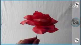 Magic camera на смартфоне Explay Fresh (4.2.2)