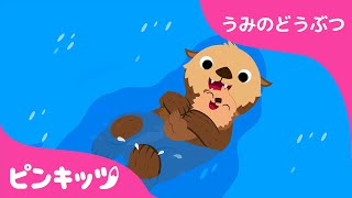 ラッコ | うみのどうぶつ | 楽しく学べる | 知育動画 | キッズソング | ピンキッツ！
