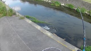 鯉のルアー釣り!!ベイトフィネスで攻略!!ヒット前から収録!!