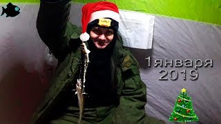 новогодняя рыбалка 2019