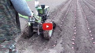 Посадка картофеля мотоблоком 2016