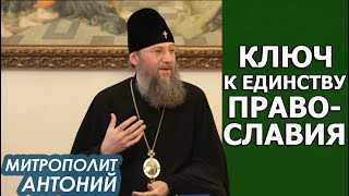 Почему ПЦУ трясут скандалы. Позиция поместных церквей по украинской проблеме. Митрополит Антоний
