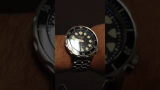 Benarus Megaladon automatic watch