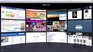 Chat Roulette + OMEGLE V1