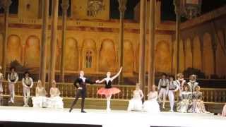 Ekaterina Krysanova, Dmitry Gudanov - Don Quixote (1)