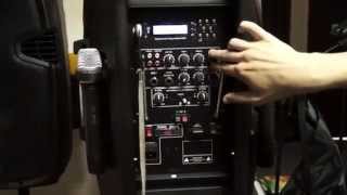 Акустическая система PP 2112AUS и PP 2115AUS