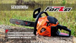 Продукция FORZA 2018
