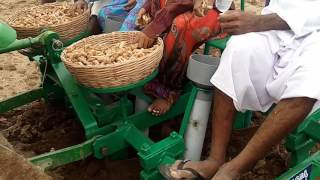 termaric planter metpally