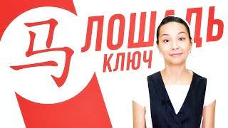 Ключевые иероглифы #36: 马 (лошадь) ? УЧУ КИТАЙСКИЙ ЯЗЫК ✌ Школа Динары Мин ✌