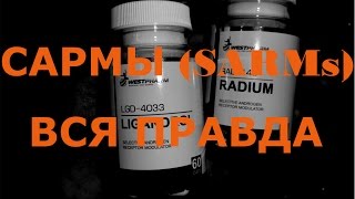 Сармы (SARMS) - Просто и понятно