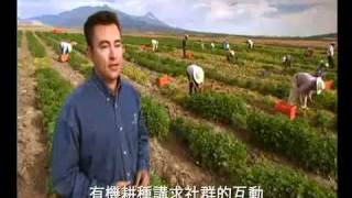 Фермы Nutrilite
