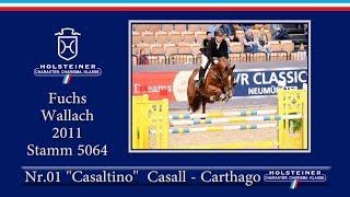 1. Holsteiner Winter-Chance | Nr. 01 Casaltino