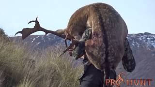 Fallow deer hunting in New Zeeland - Охота на лань в Новой Зеландии